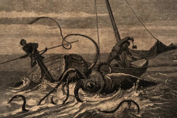 Сайт kraken в tor