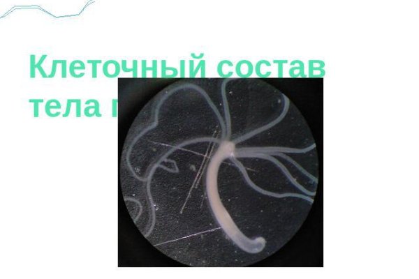 Доступ кракен