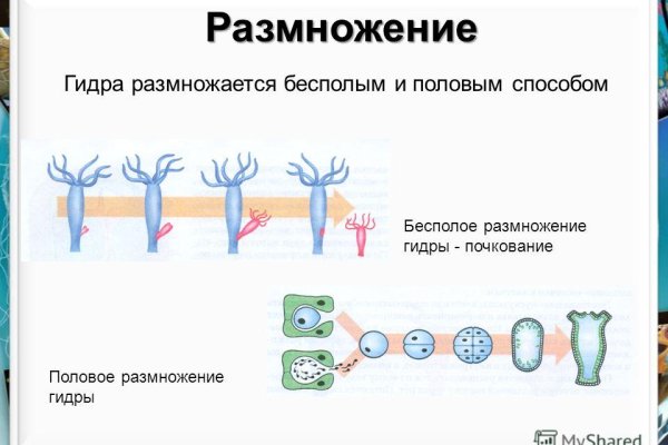 Kraken ссылка tor официальный сайт